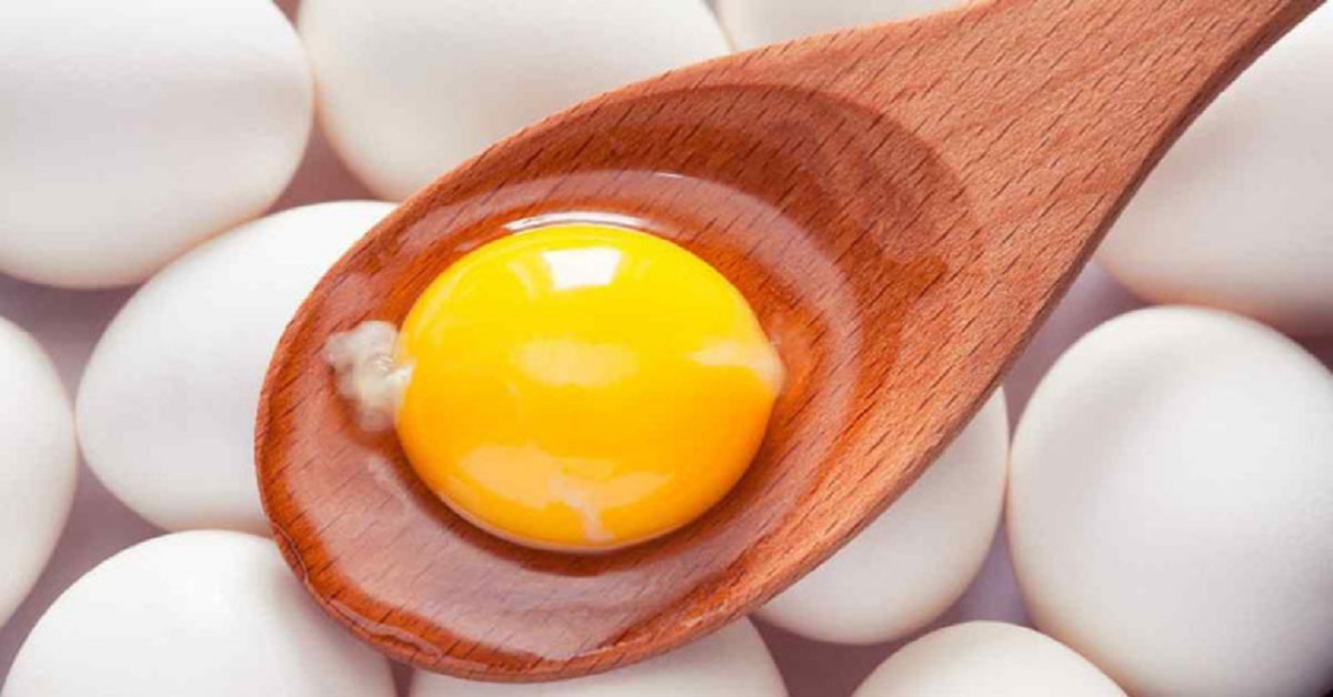 زرده تخم ‌مرغ  (Egg yolk)