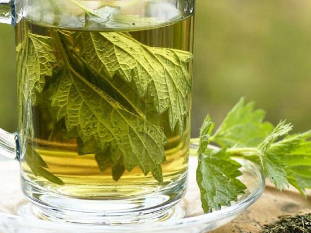دمنوش برگ گزنه و گل‌های بهاری