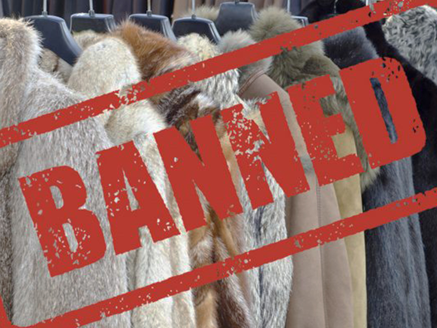 لباس‌ های حیوانی نخرید!
