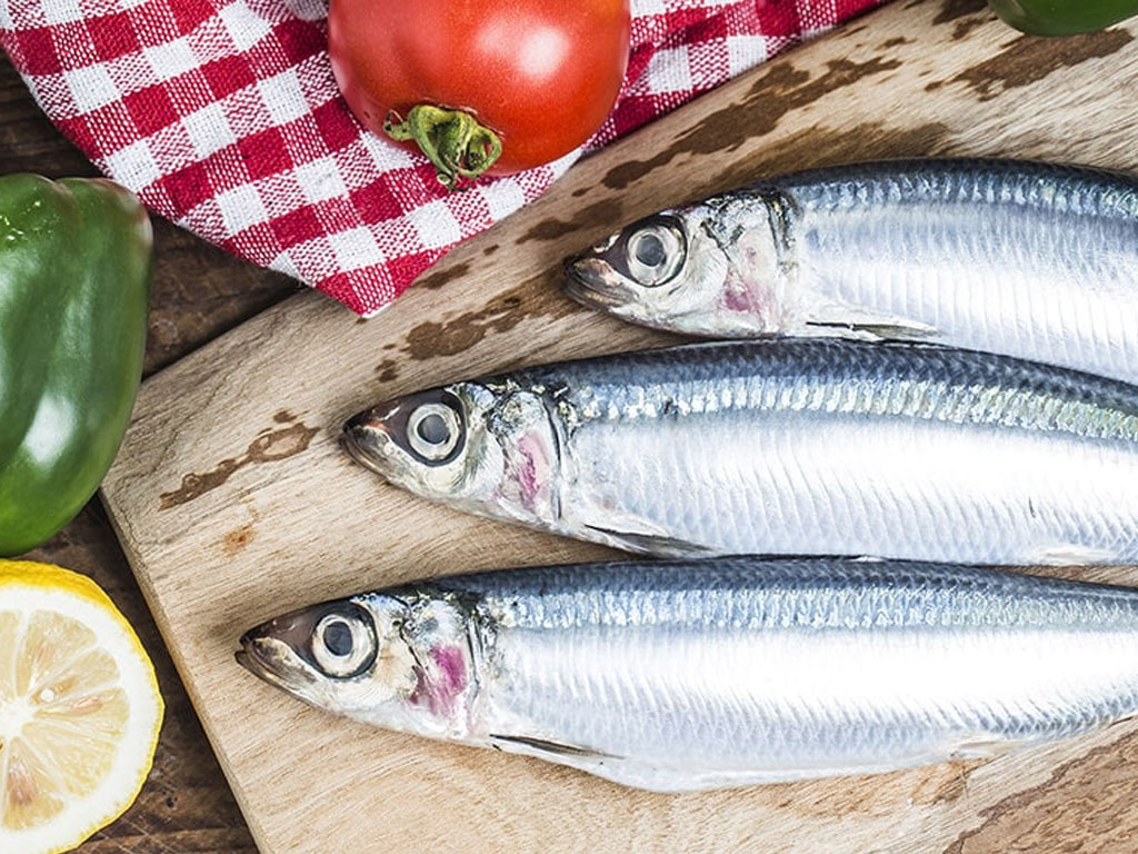 ماهی ساردین و ماهی‌های دیگر به بهبود شما کمک می‌کنند.
