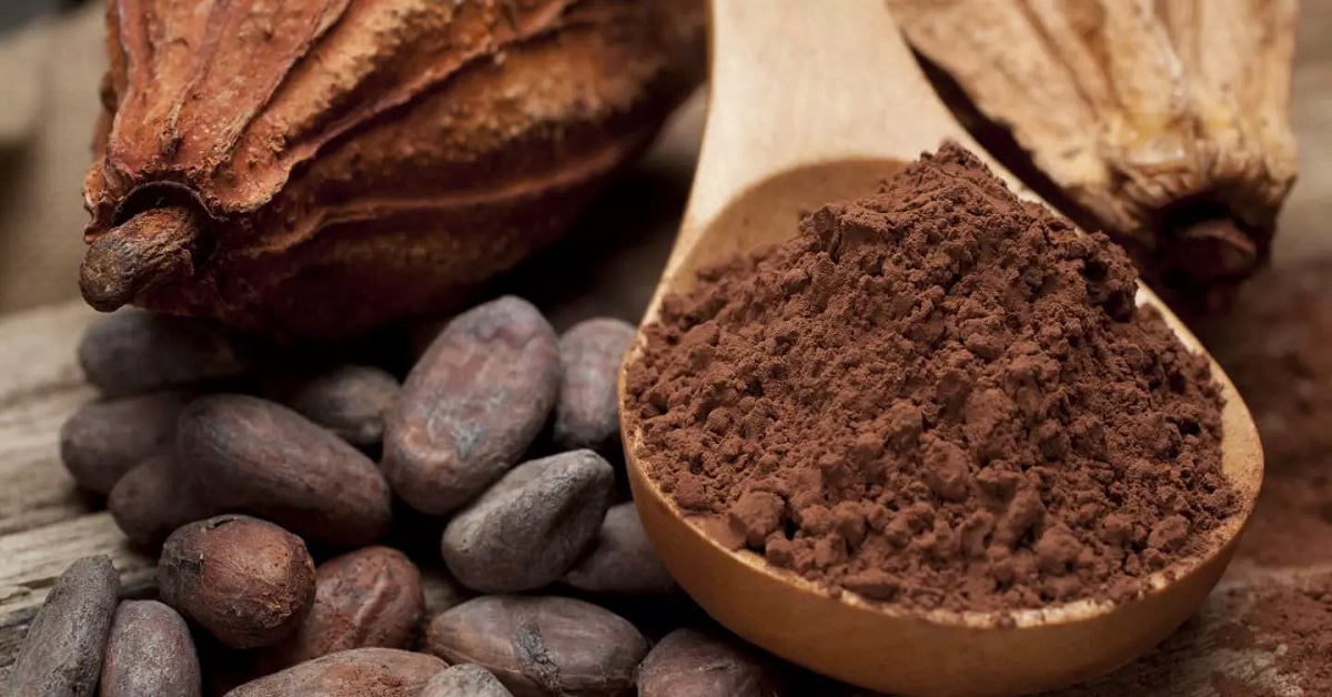 دانه کاکائو کافئین بسیاری دارد