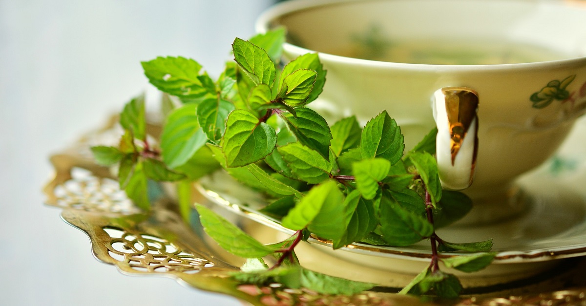 چای سبز موثر در از بین بردن بوی بد دهان