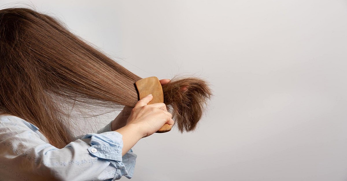 برس ساخته شده از موهای طبیعی گراز