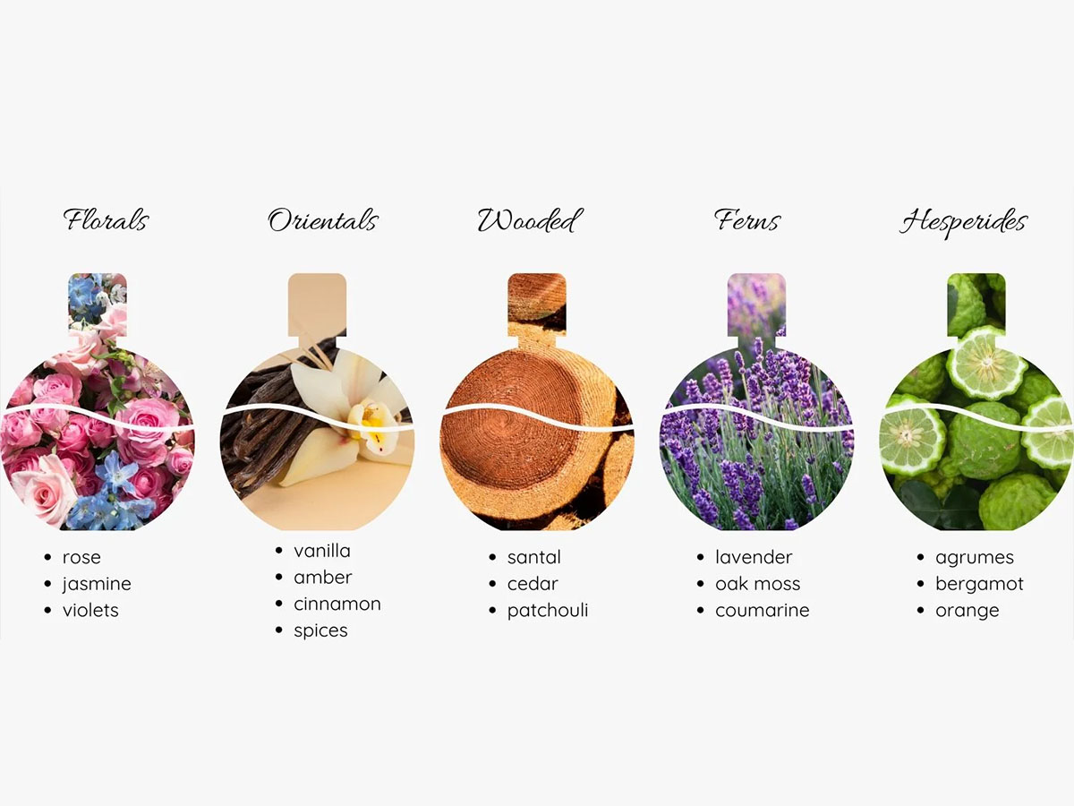 راز تغییر بوی عطر در طول روز آشنایی با نتهای عطر 5 تغییر بوی عطر در طول روز 5 - راز تغییر بوی عطر در طول روز آشنایی با نتهای عطر