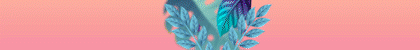 topheader