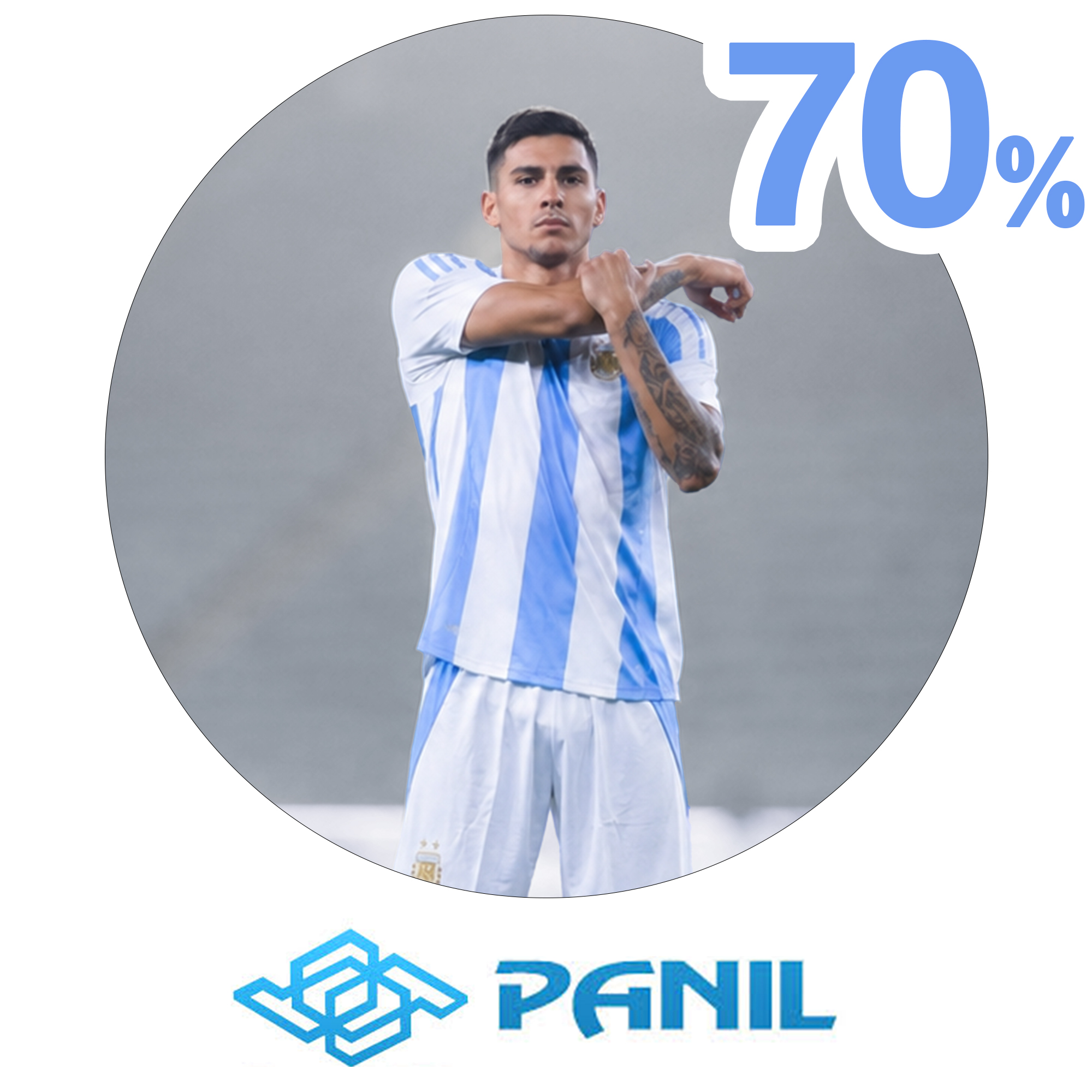  Panil