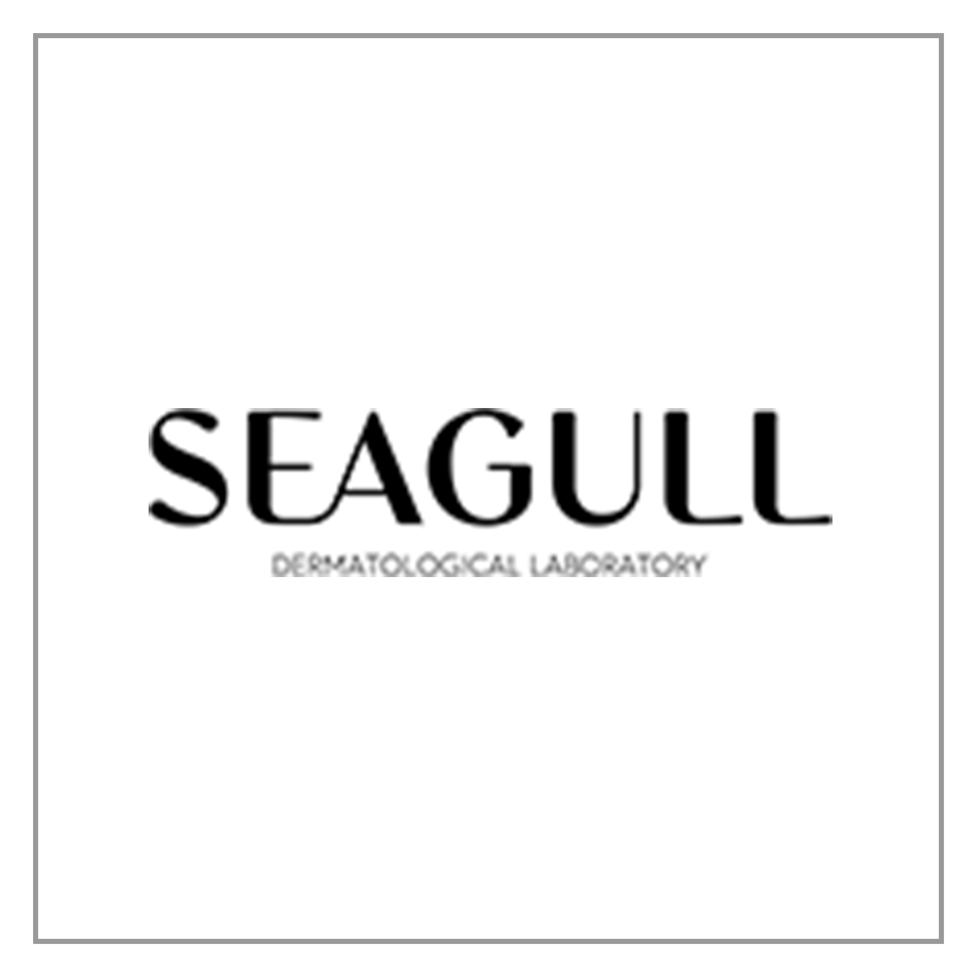 Seagull